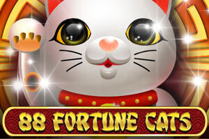 88 Fortune Cats