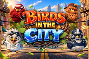 Birds in The City