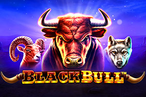 Black Bull