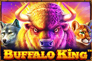Buffalo King