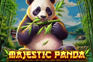 Majestic Panda