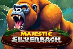 Majestic Silverback