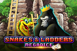 Snakes and Ladders Megadice™
